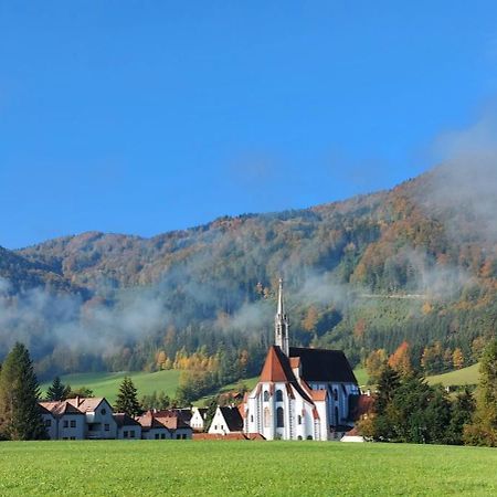 Ferienwohnung Bergspass Gaming Екстериор снимка