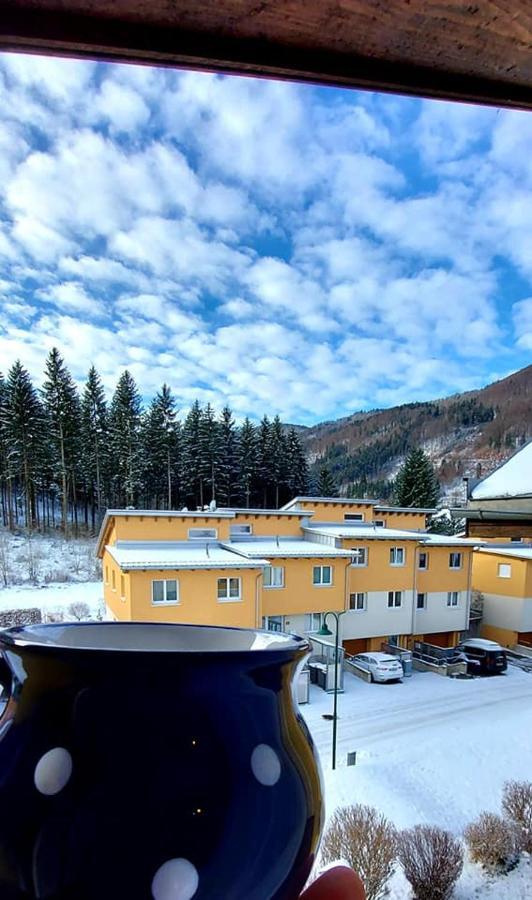 Ferienwohnung Bergspass Gaming Екстериор снимка