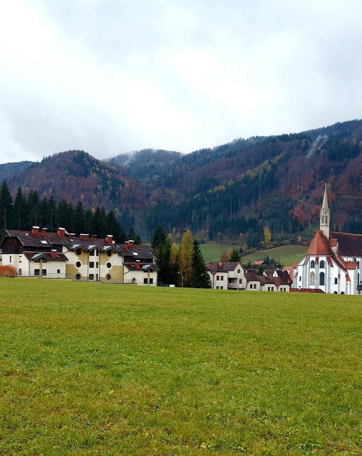 Ferienwohnung Bergspass Gaming Екстериор снимка