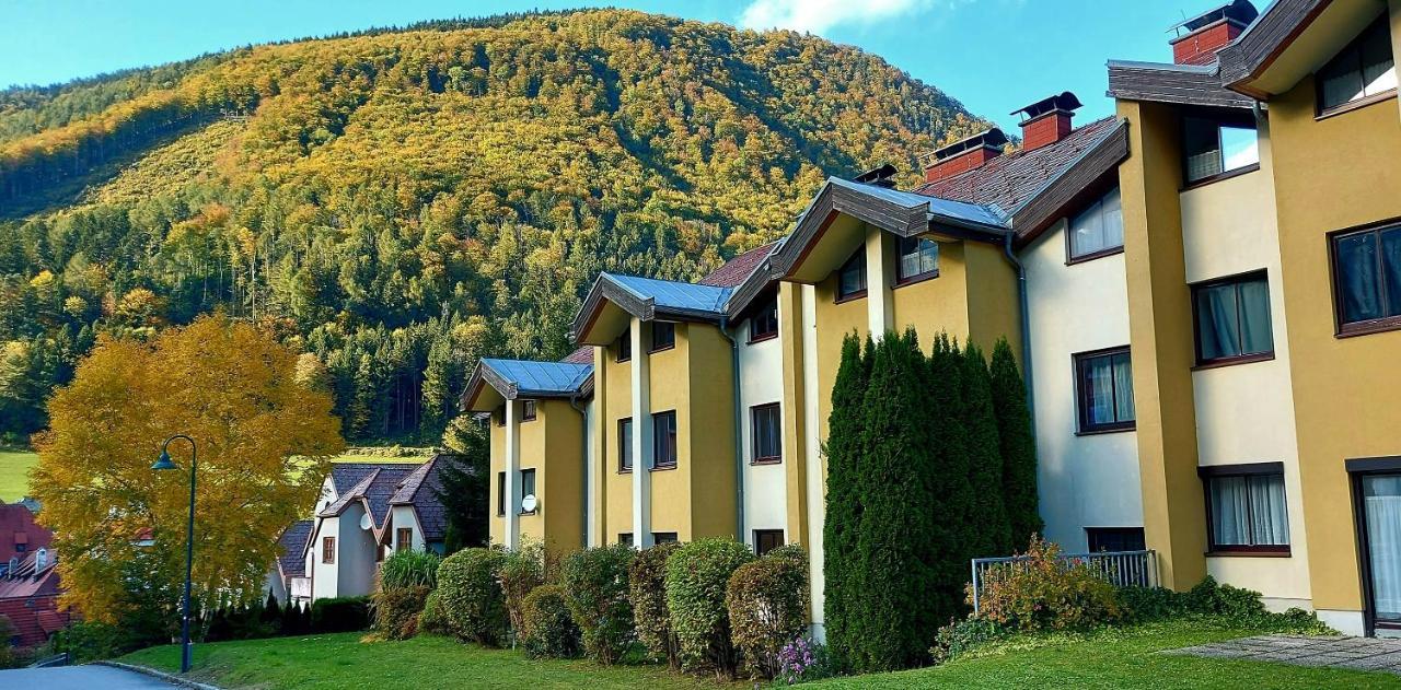 Ferienwohnung Bergspass Gaming Екстериор снимка