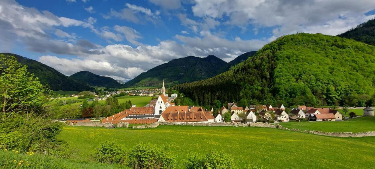 Ferienwohnung Bergspass Gaming Екстериор снимка