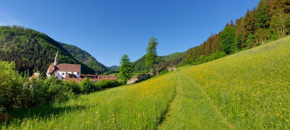 Ferienwohnung Bergspass Gaming Екстериор снимка